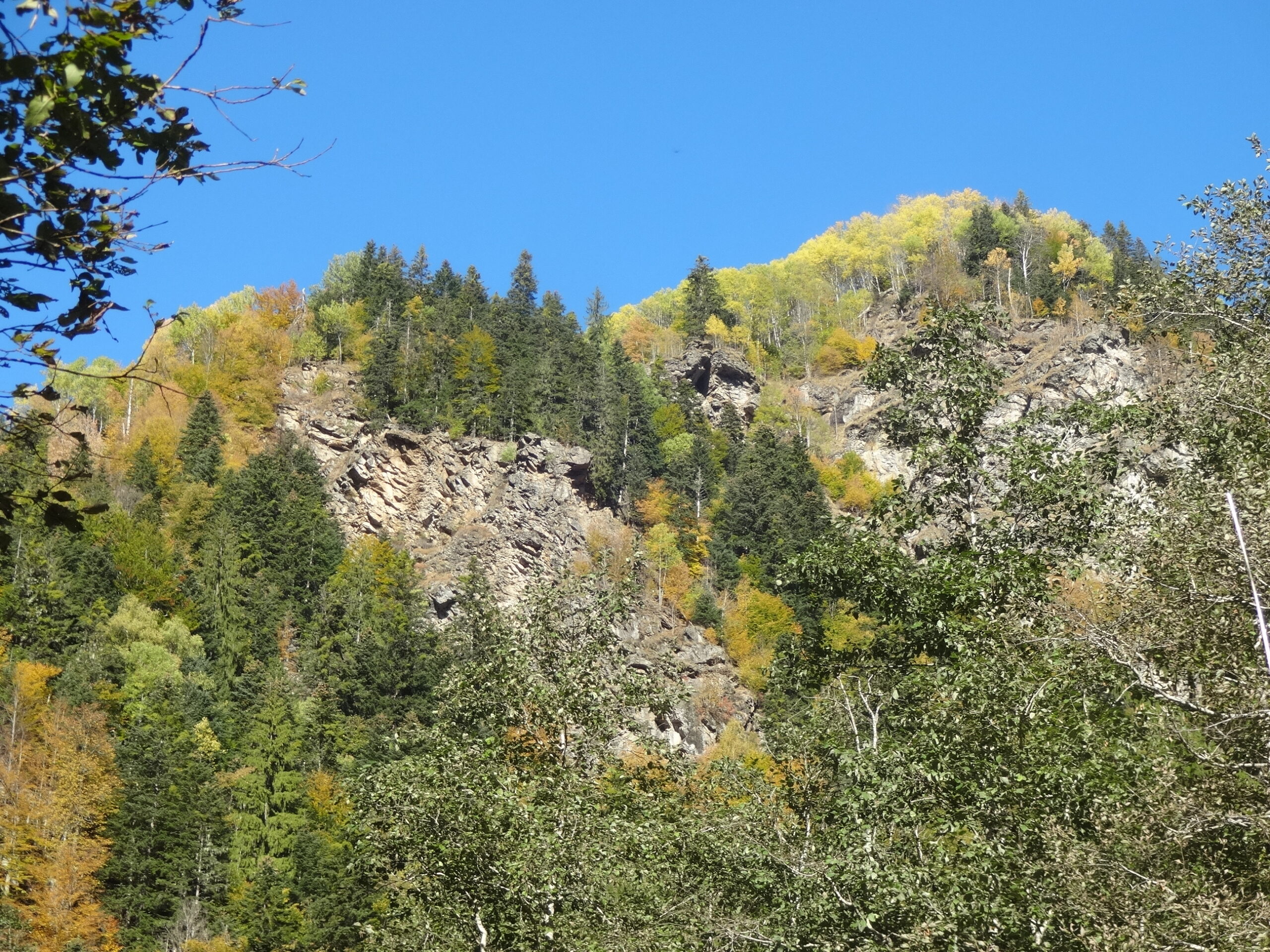DSC04745 DSC04745