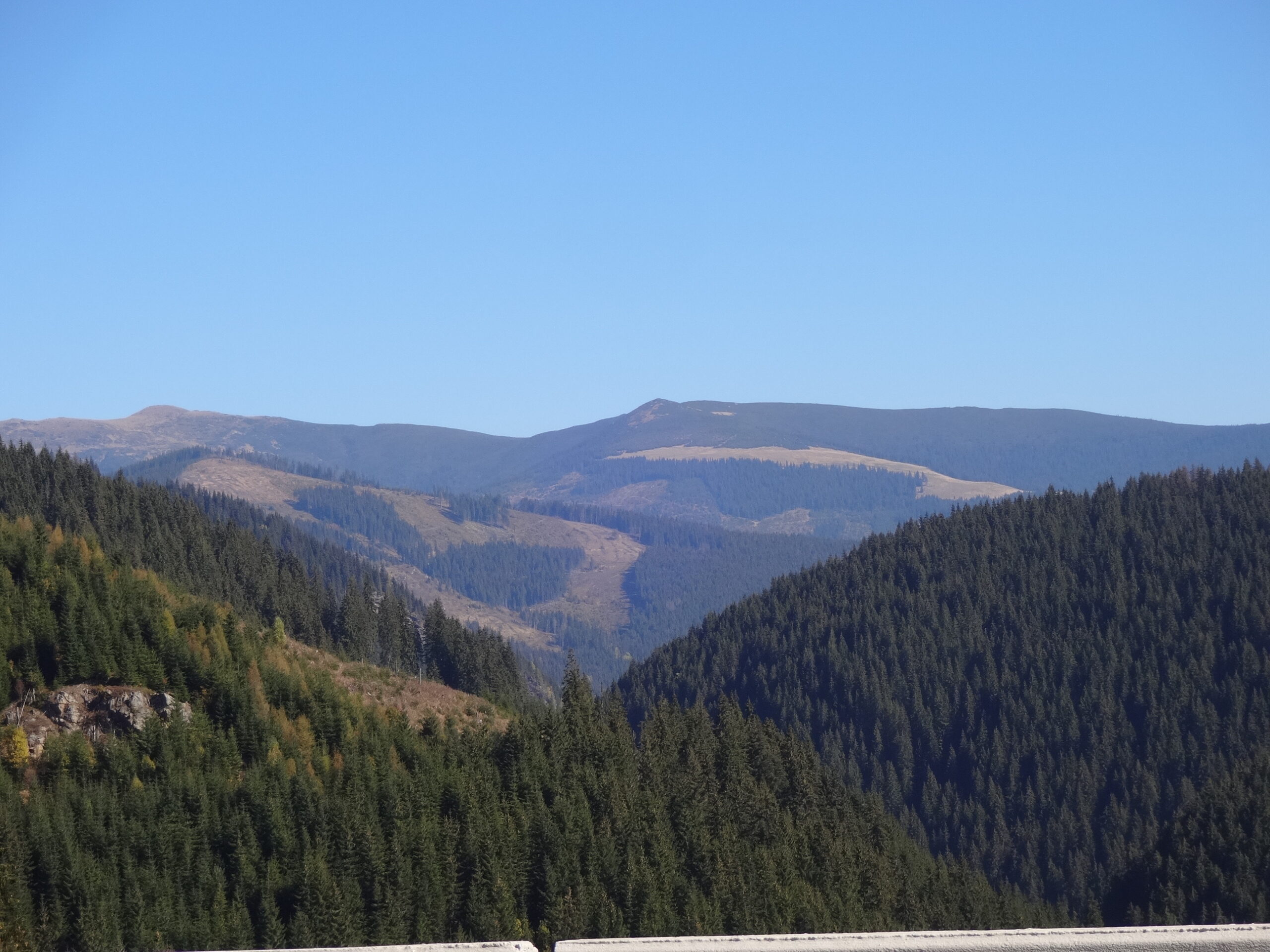 DSC04775 DSC04775