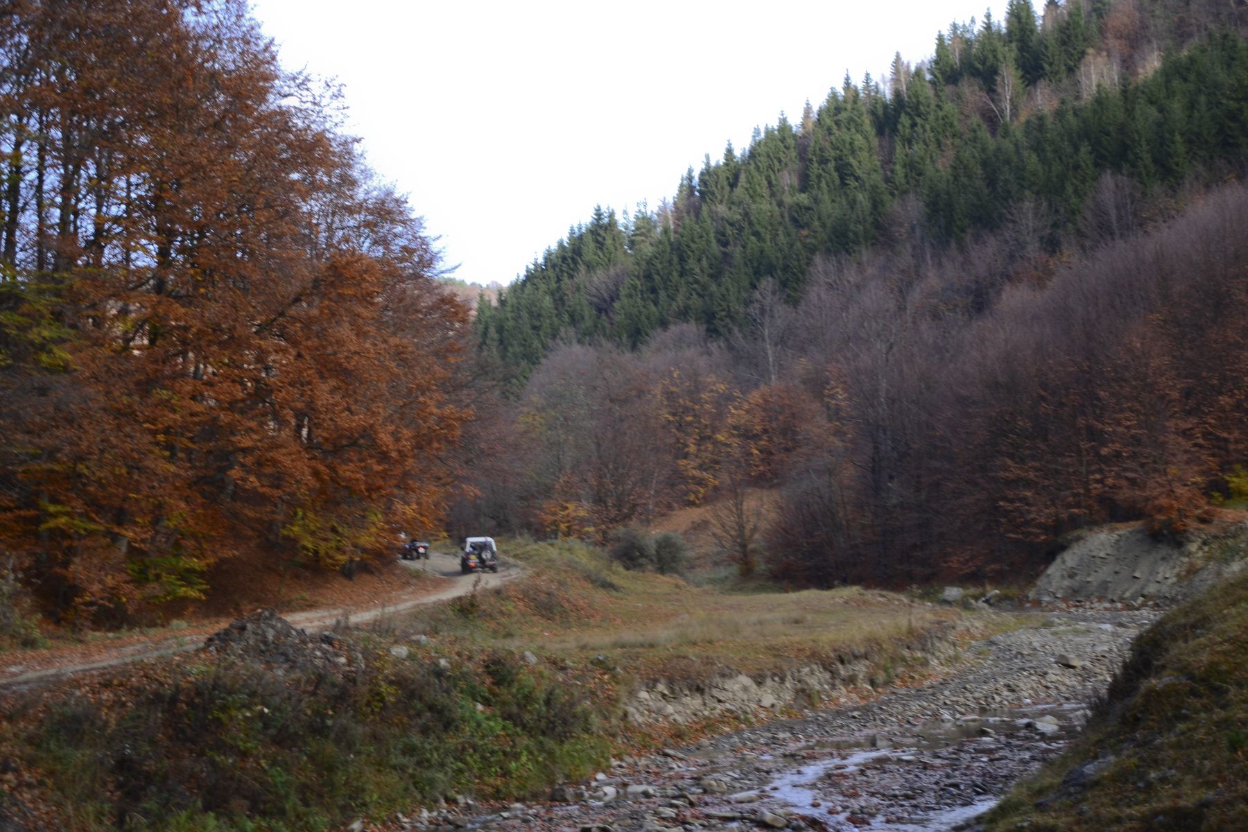 DSC_897915